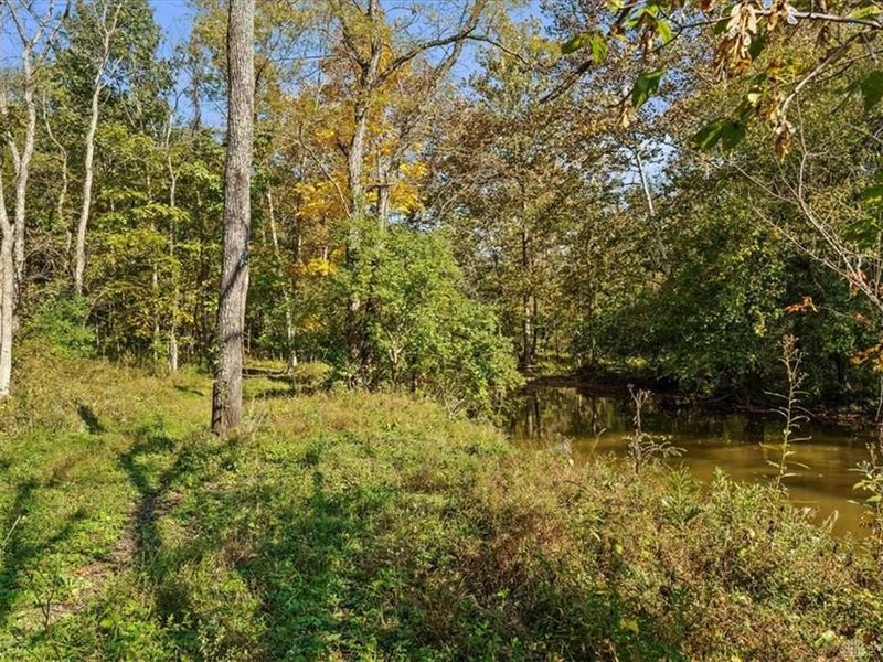 4776 Brier Ridge Road, West Union, OH 45693 Photo 28