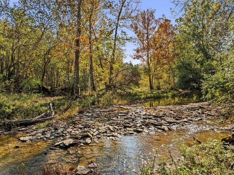 4776 Brier Ridge Road, West Union, OH 45693 Photo 31