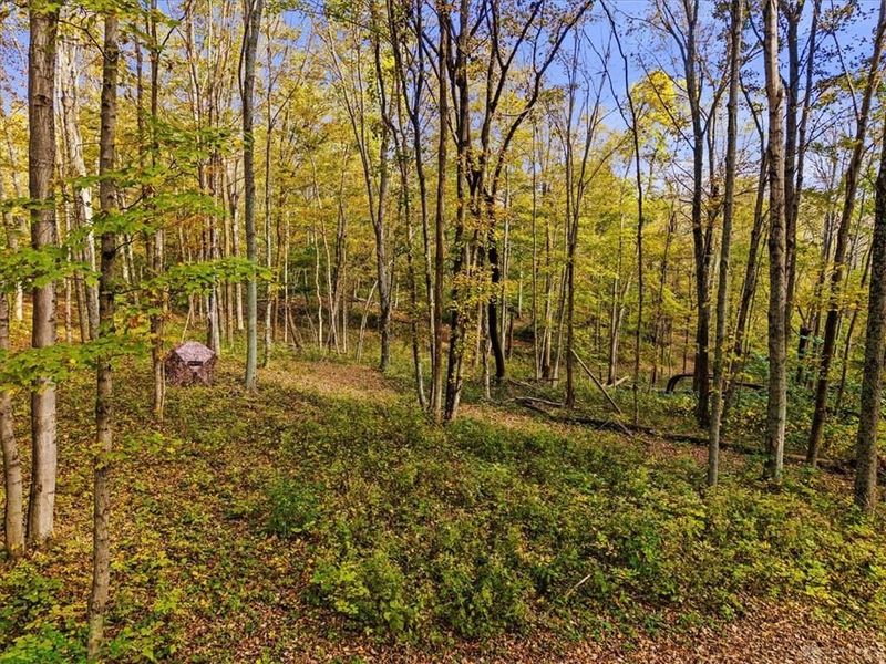 4776 Brier Ridge Road, West Union, OH 45693 Photo 35