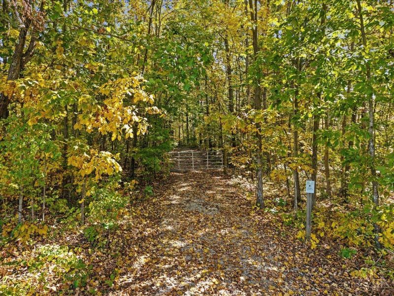 4776 Brier Ridge Road, Liberty Township, OH 45693 Photo 3