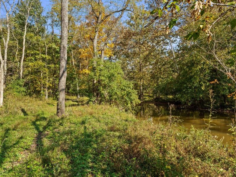 4776 Brier Ridge Road, Liberty Township, OH 45693 Photo 32
