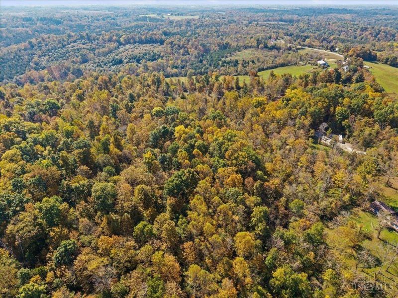 4776 Brier Ridge Road, Liberty Township, OH 45693 Photo 41
