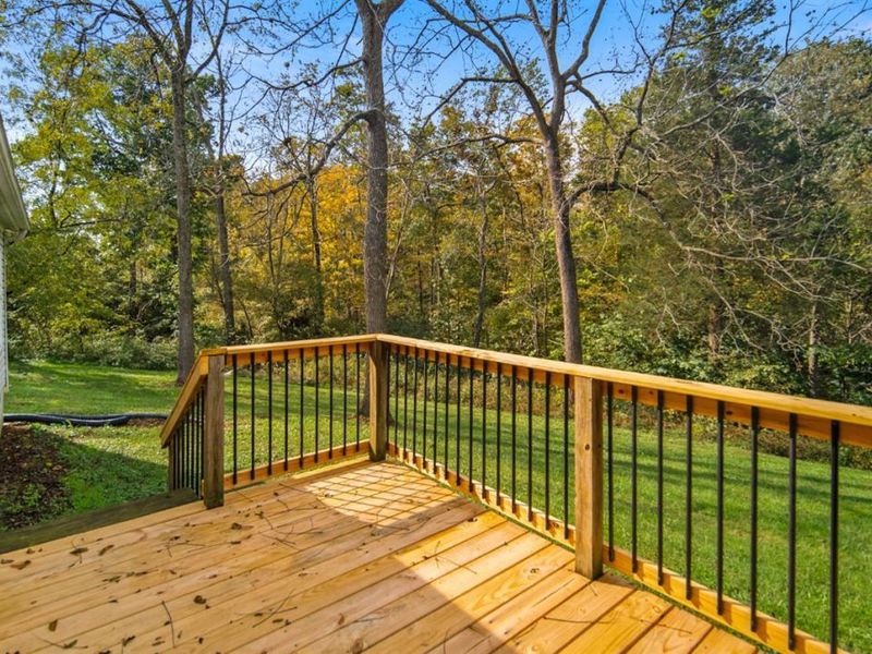 1236 Brier Ridge Road, Sprigg Township, OH 45693 Photo 26