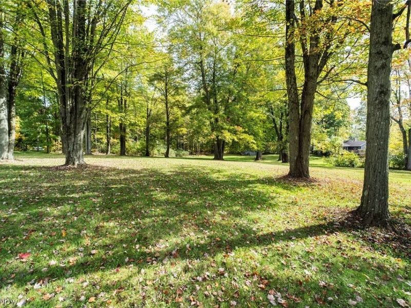 445 Park Avenue, Poland, OH 44514 Photo 28