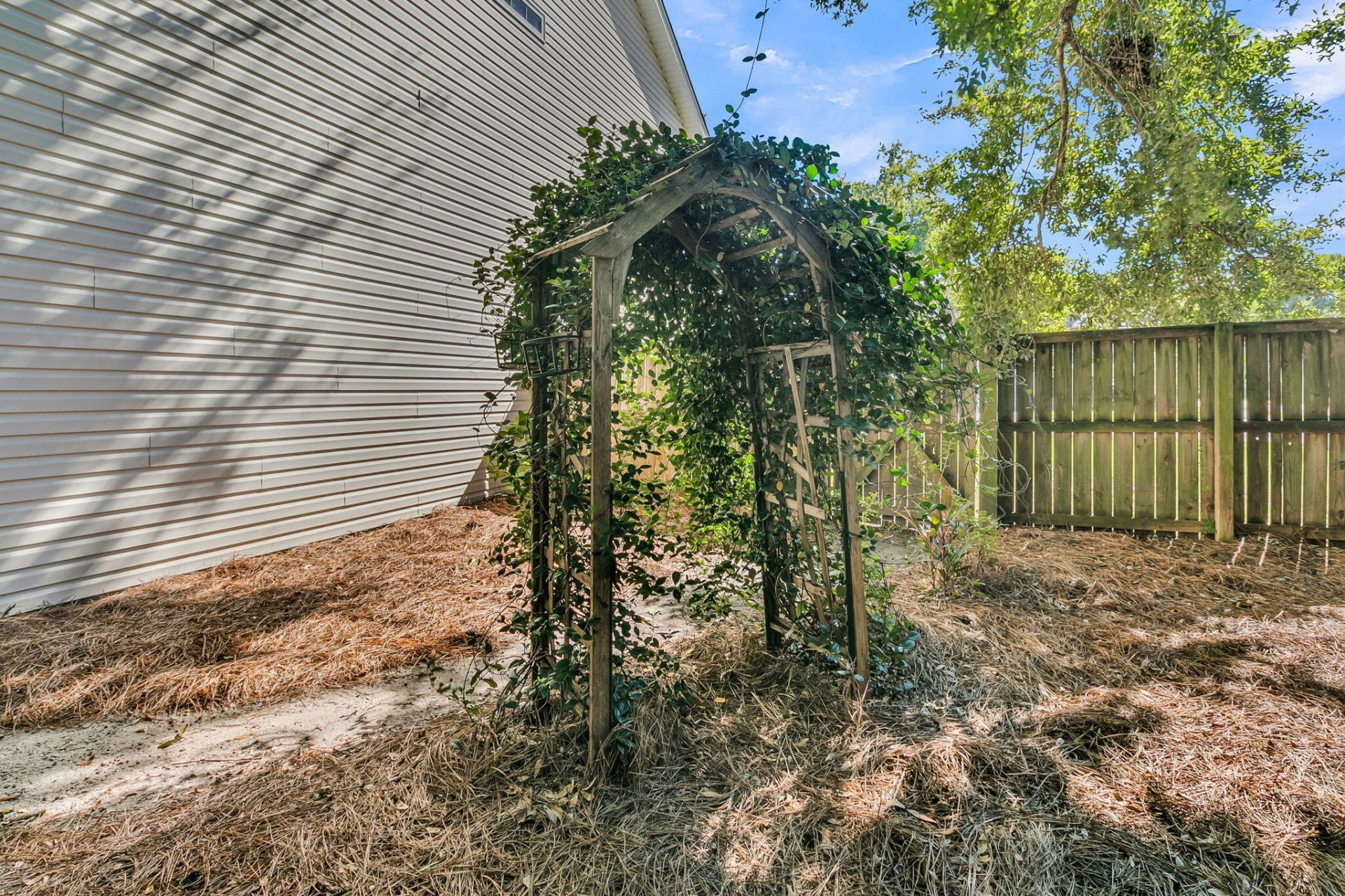 1516 Maple Grove Drive Photo 48