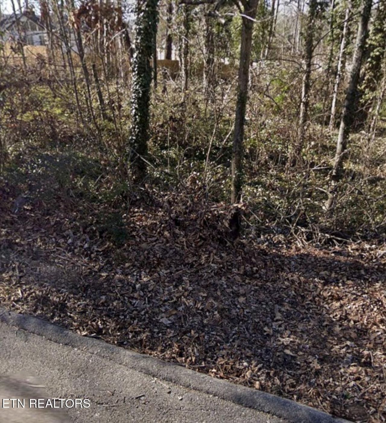 301 Wilona Lane, Knoxville, TN 37922 Main Photo