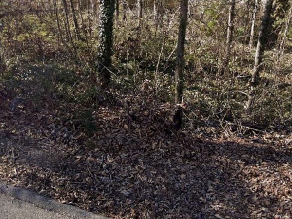 301 Wilona Lane, Knoxville, TN 37922