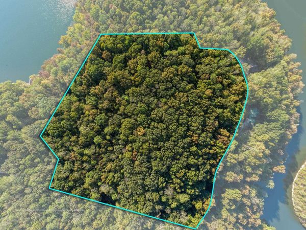 1 Rocky Branch Rd, Spruce Pine, AL 35585