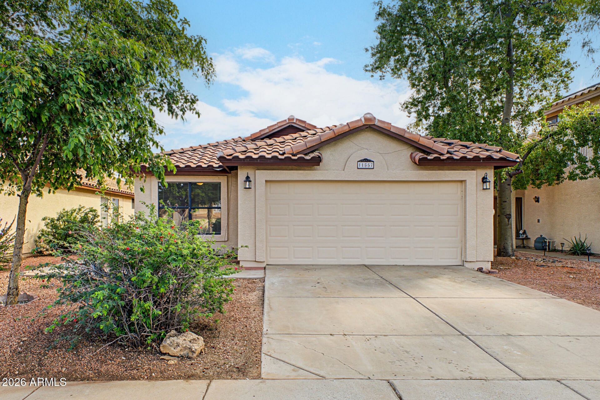11557 W Olive Drive, Avondale, AZ 85392 Main Photo
