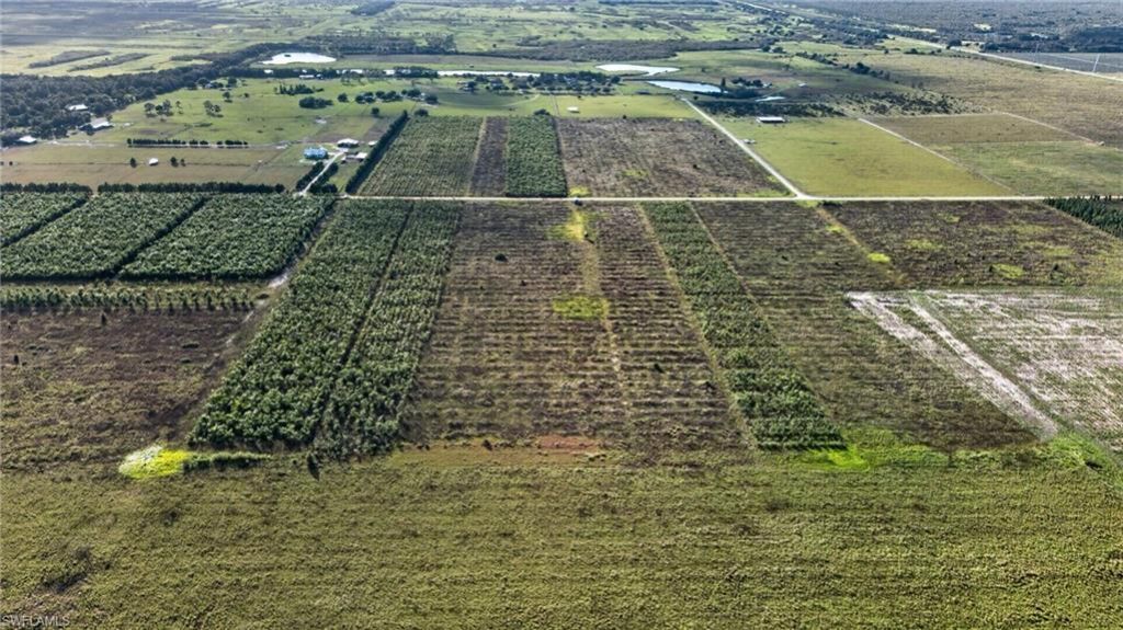 0 Garfield Rd , Fort Meade, FL 33841 Photo