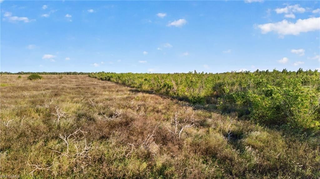 0 Garfield Rd , Fort Meade, FL 33841 Photo