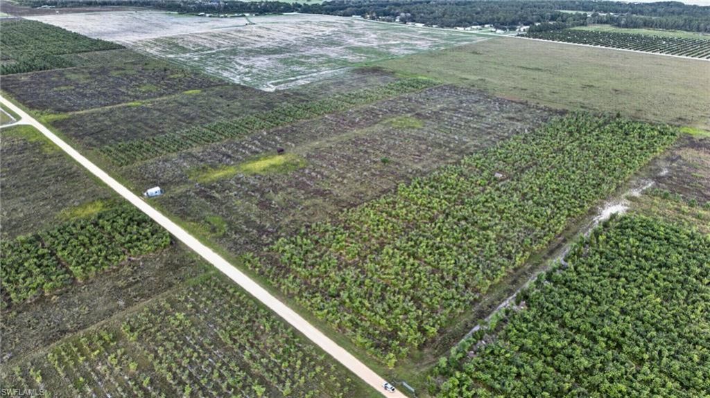0 Garfield Rd , Fort Meade, FL 33841 Photo