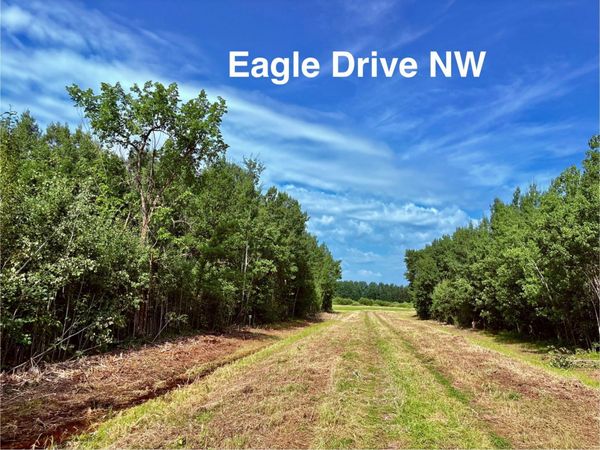 TBD Eagle Dr NW , Baudette, MN 56623