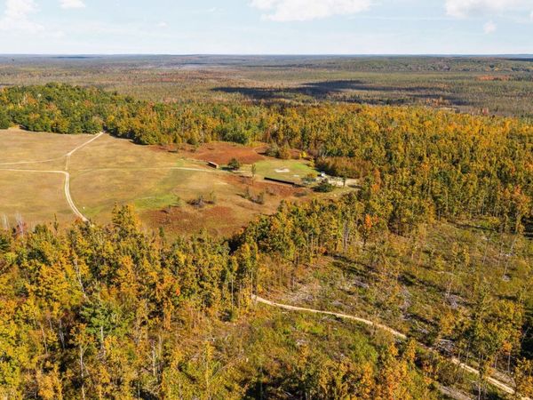 Birch Run Trail, Gaylord, MI 49735
