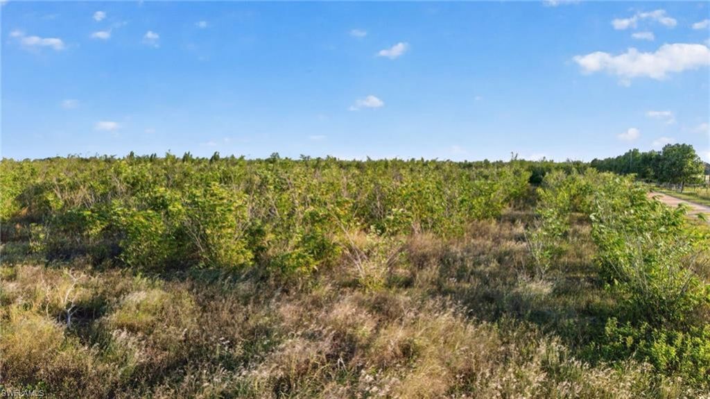 0 Garfield Rd , Fort Meade, FL 33841 Photo