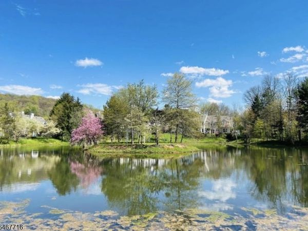 1 Teal Ln, Bedminster, NJ 07921