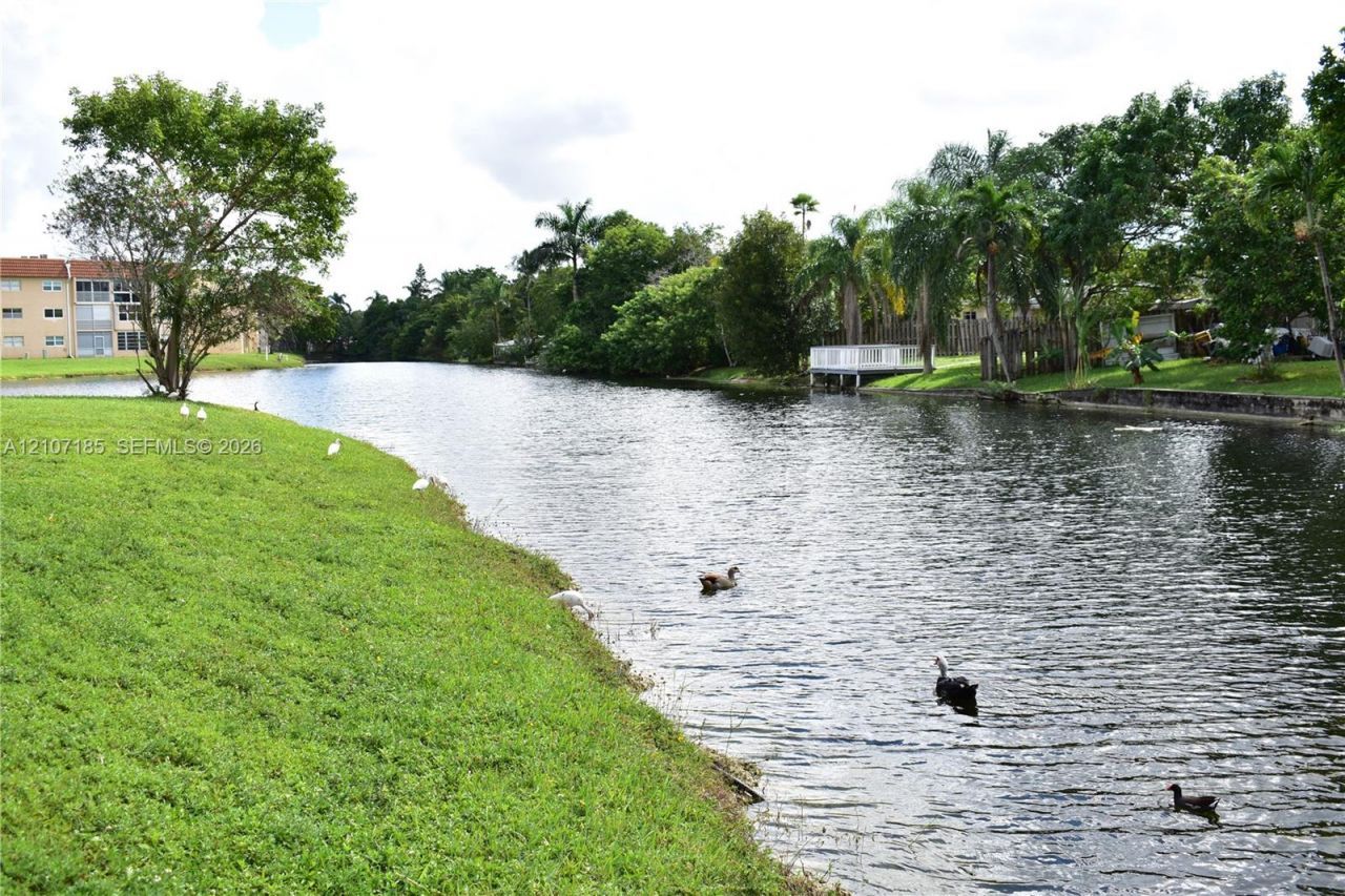 2751 N Pine Island Rd, Unit 101, Sunrise, FL 33322 Photo