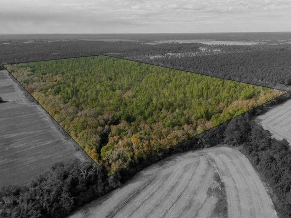 0000 N Bob Brooks Road, Baker, FL 32531