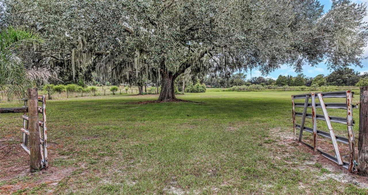 32632 Tyndall Road, Wesley Chapel, FL 33545 Photo