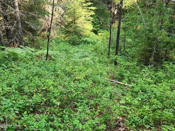 NNA Reeder Bay Rd, Nordman, ID 83848