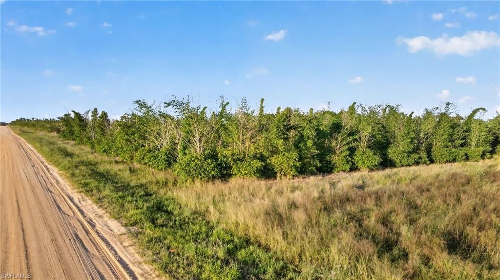 0 Garfield Rd , Fort Meade, FL 33841 Photo