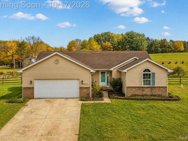3427 Leeomi Drive, Raisin Township, Mi 49229
