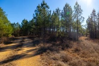 0 White Oak Rd , Lot #2/3, Stewart, TN 37175 Main Photo