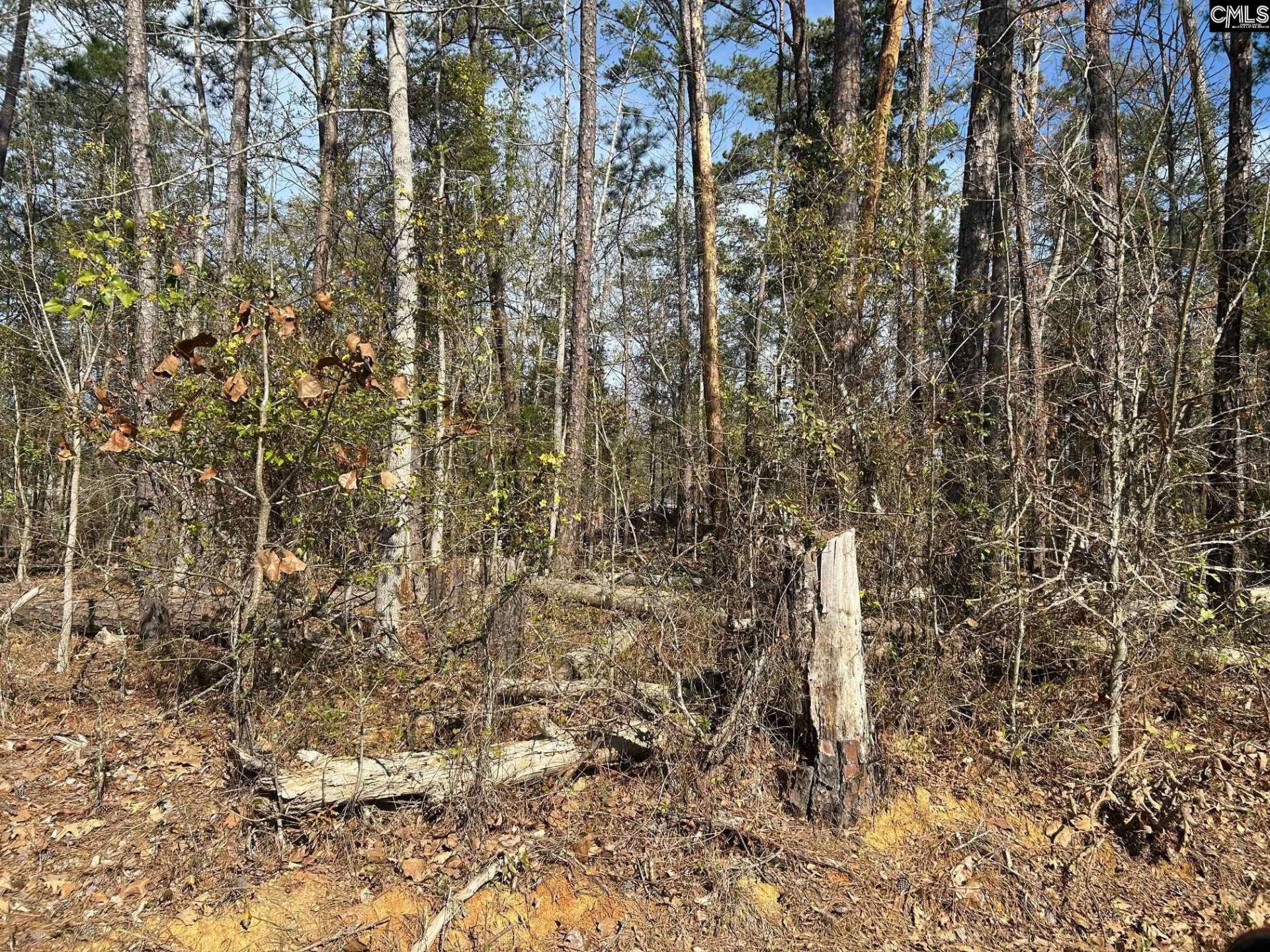 Holley Ferry Road Photo 4