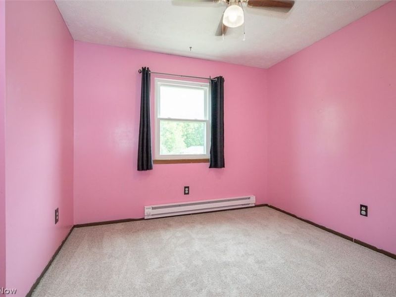 3767 Avon Lake Road, Litchfield, OH 44253 Photo 16