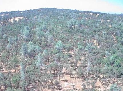 18891 Tanglewood Hollow Way, Grass Valley, CA 95949 Photo