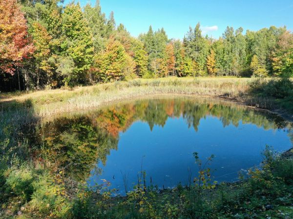TBD E 8 Mile RD, Sugar Island, MI 49783