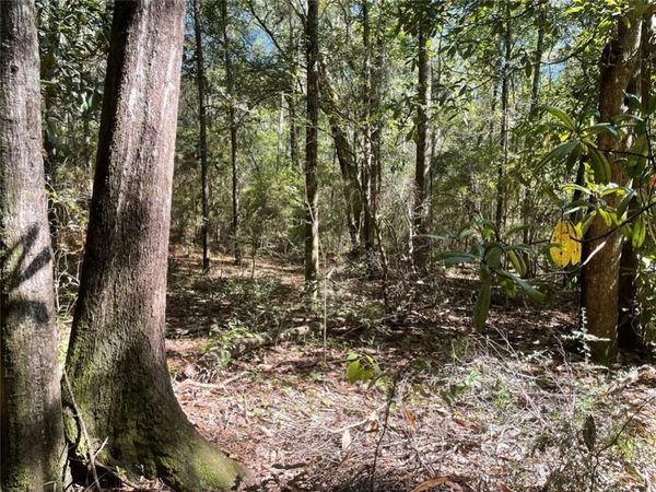 0 Riley Street, Mobile, AL 36608