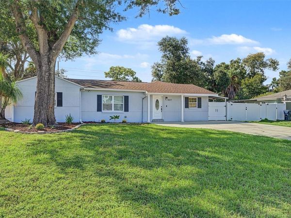 4317 S HALE AVENUE, TAMPA, FL 33611