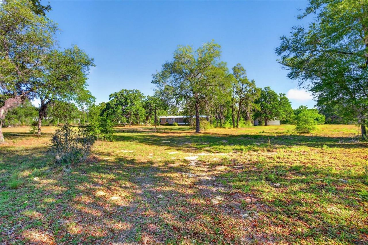 11751 NE 116th Street , Archer, FL 32618 Photo