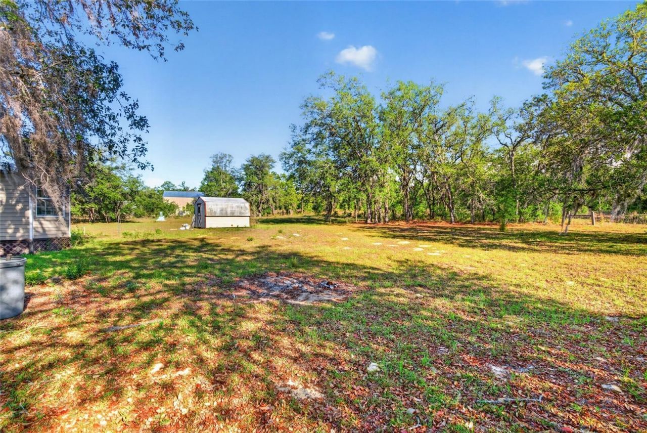 11751 NE 116th Street , Archer, FL 32618 Photo