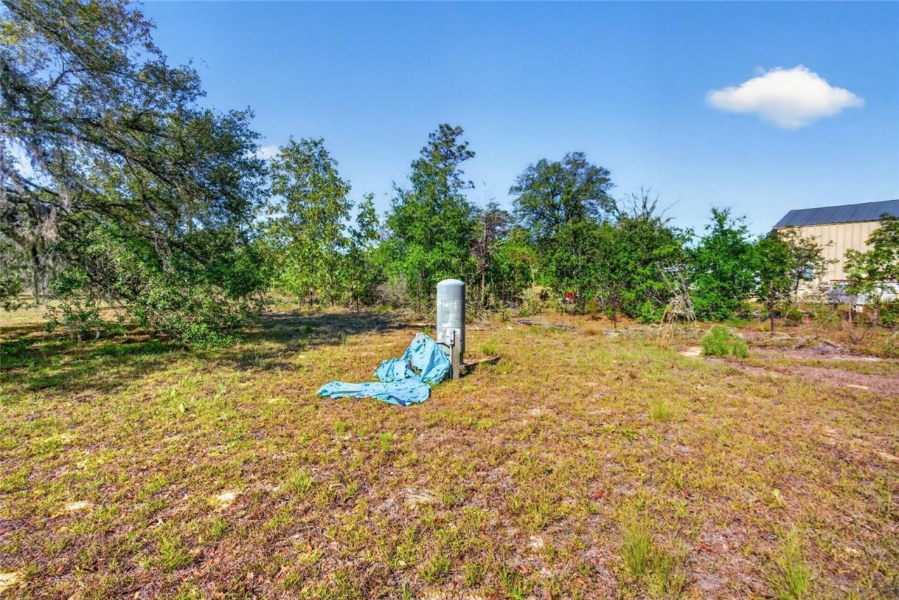 11751 NE 116th Street , Archer, FL 32618 Photo