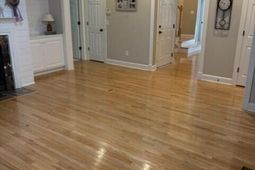 3561 Flowering Oak Way photo 4