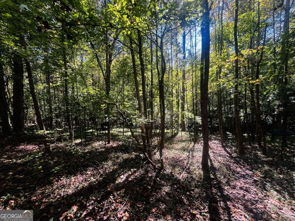 LOT 14 Lakeview Court, Baldwin, GA 30511