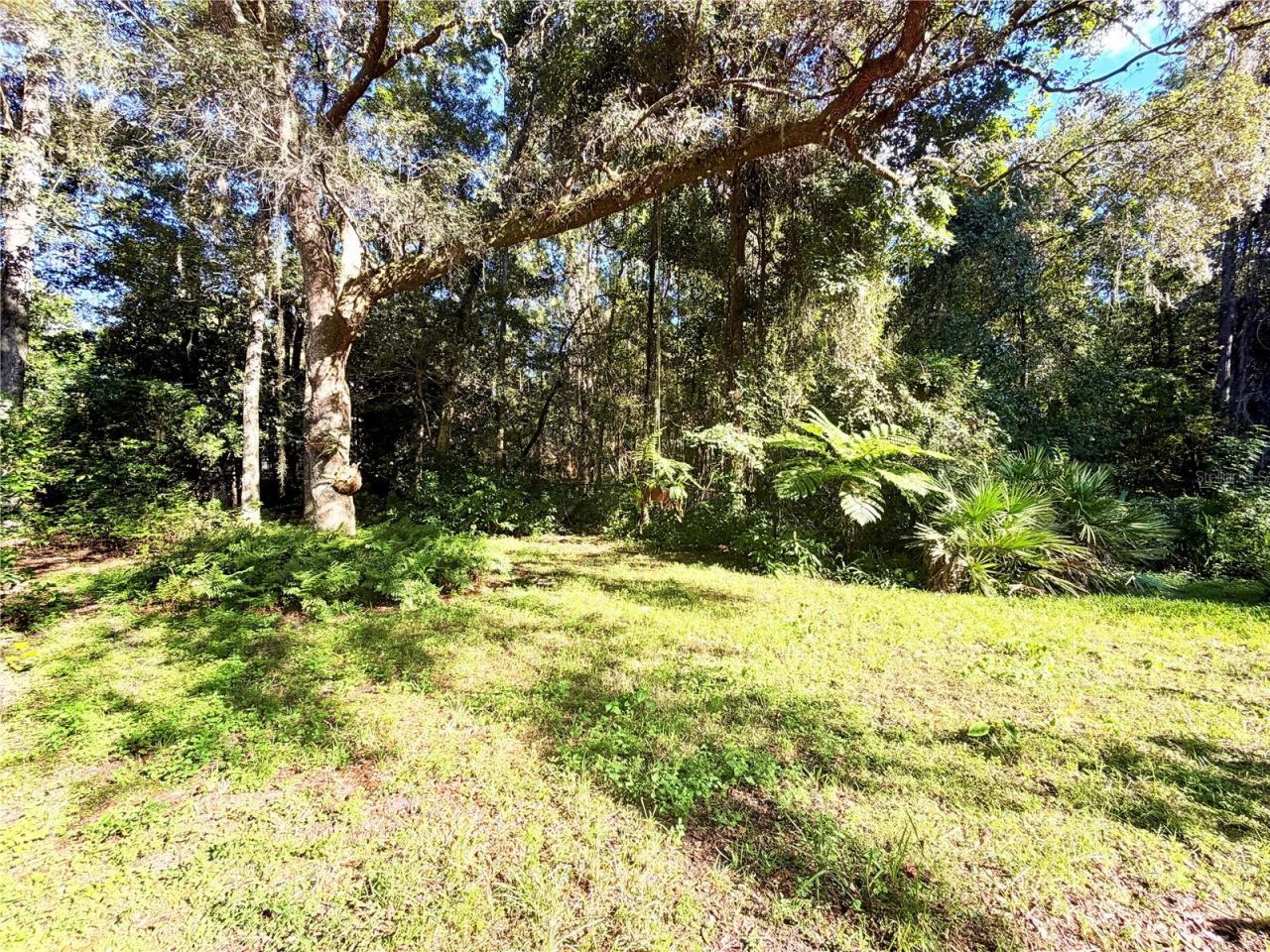 4921 NW 51st Place, Gainesville, FL 32606 Photo