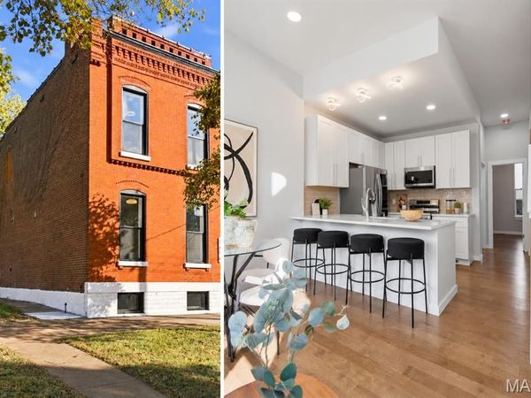 3656 Salena Street , St Louis, MO 63118