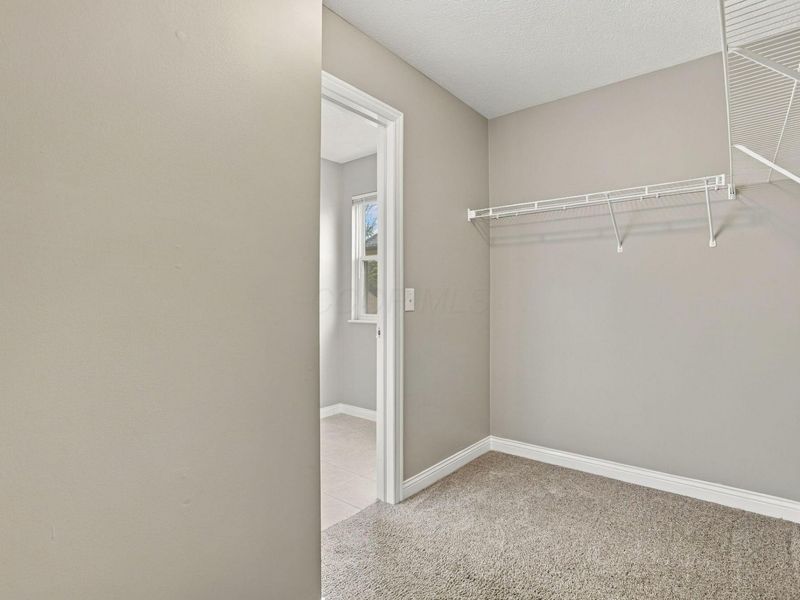 6600 Archie Court, Canal Winchester, OH 43110 Photo 29