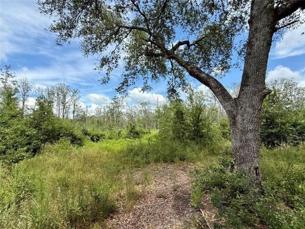 0 Christian Acres Road , Grand Bay, AL 36541