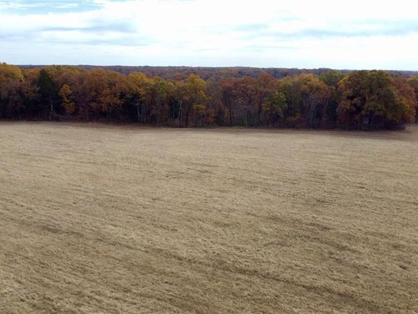 Tract 7A Polston Ln , Marthasville, MO 63357