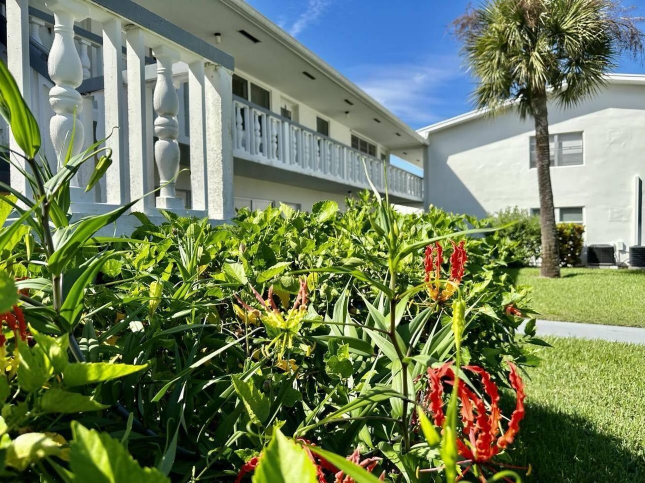 141 Coventry F, West Palm Beach, FL 33417 Photo