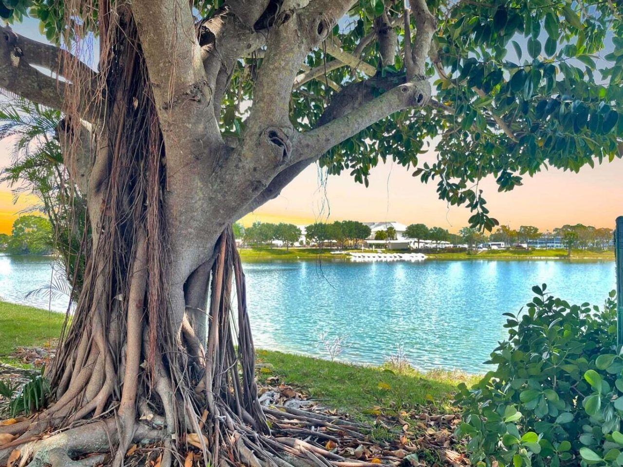 141 Coventry F, West Palm Beach, FL 33417 Photo