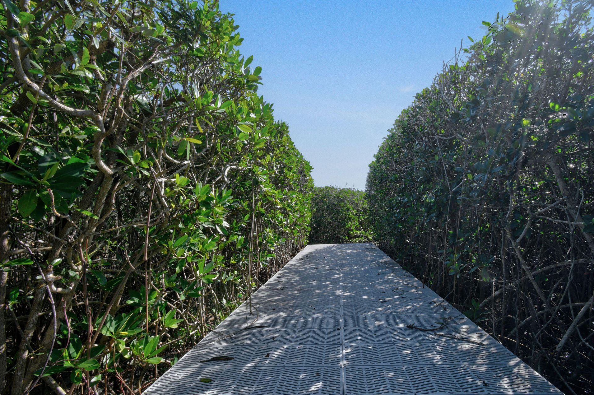 104 Intracoastal Circle, Tequesta, FL 33469 Photo
