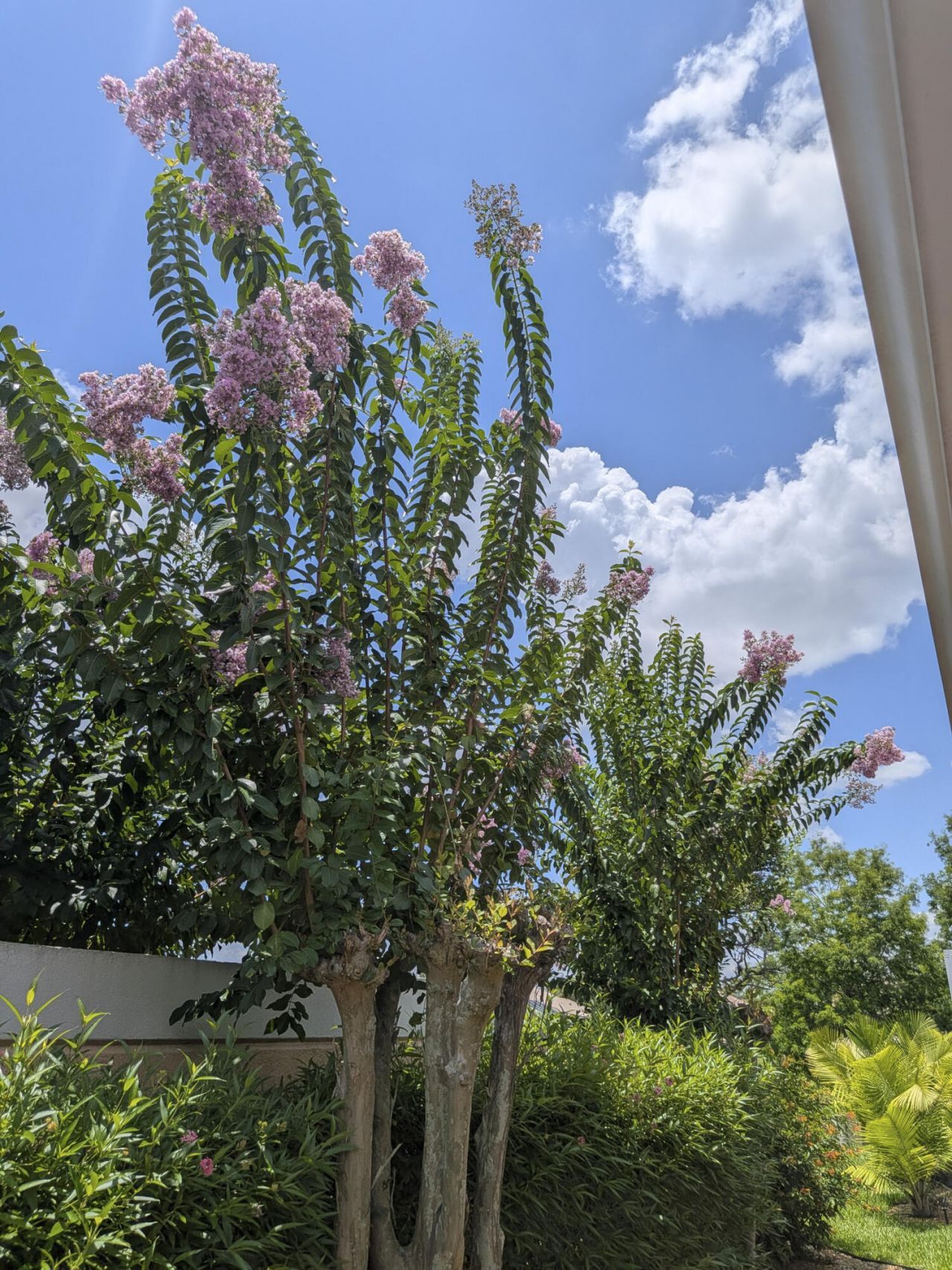 11262 SW Pembroke Drive, Port Saint Lucie, FL 34987 Photo