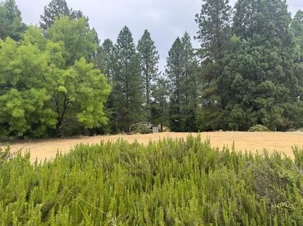 12820 Rough And Ready Hwy, Rough and Ready, CA 95975 Photo