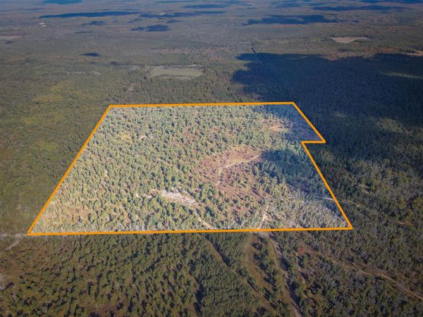 23646 W 12 Mile Road, Wellston, MI 49689