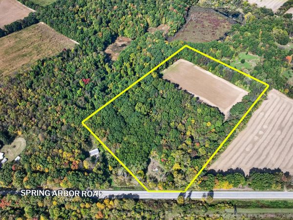 Spring Arbor Road, Concord, MI 49237